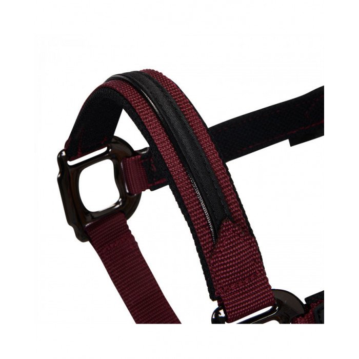 licol licol Nylon Equestro C longe Modèle Elegance 45,08&nbsp;€