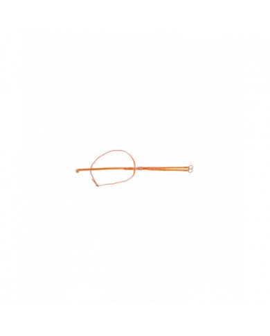 martingale running martingale Collier Pool's 31,56&nbsp;€