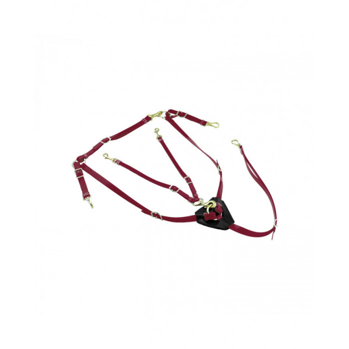 vorderzeug  Biothane vorderzeug martingalgabel ringmartingal 109,75 € vorderzeug  Biothane vorderzeug martingalgabel ringmartingal 109,75 €