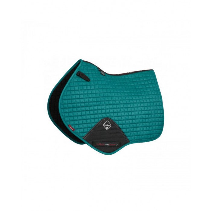 Almofada de Suadouros Salto  Fechar Contato Camurça Simples Quadrado Pavão Grande 72,54 €