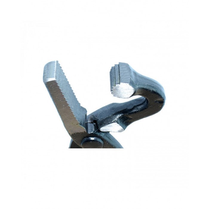 Outils de maréchalerie Arrache-clou Avec Point Ariex 65,16&nbsp;€