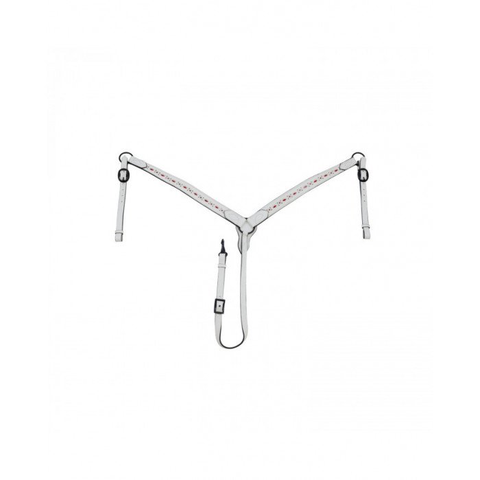 vorderzeug  Spanische AYC vorderzeug Rossi 63,03 €