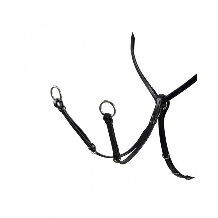 vorderzeug Equestro mit martingalgabel ringmartingal Y vorderzeug Nolwenn 73,76&nbsp;€