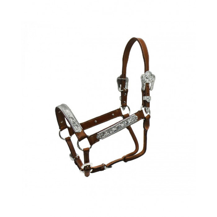 licol  Pool's licol Argenti Elht 00932 120,08 € licol  Pool's licol Argenti Elht 00932 120,08 €