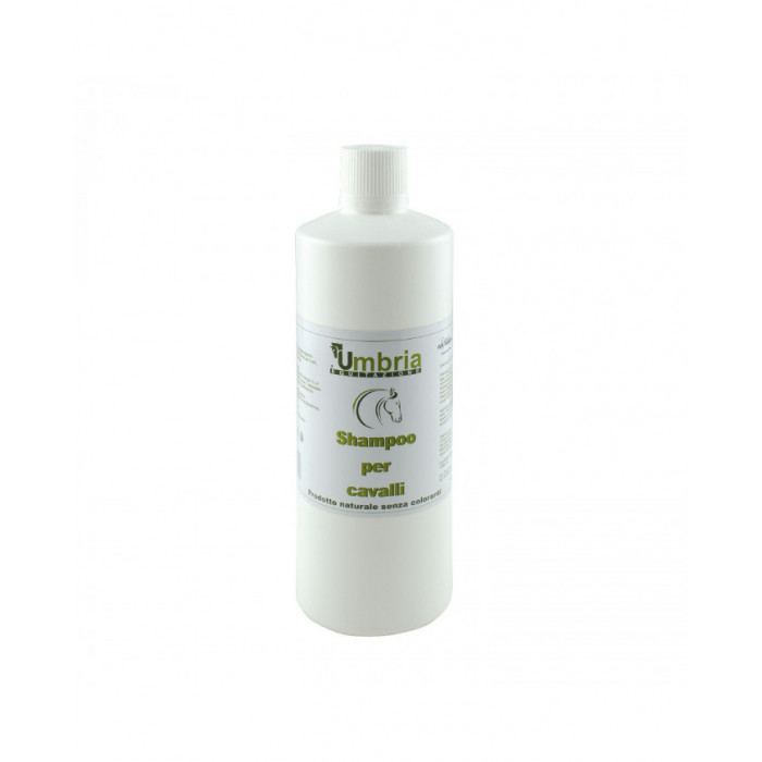Xampu  Ama Shampoo 1 Lt Lote Pf645 21 Validade 03 2024 11,89 € Xampu  Ama Shampoo 1 Lt Lote Pf645 21 Validade 03 2024 11,89 €
