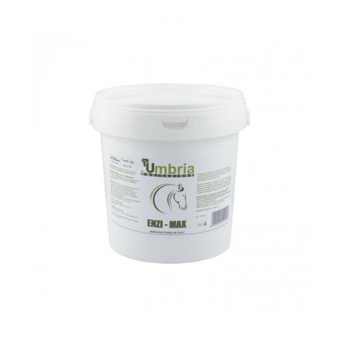 Bem-estar e Recuperação  Enzi Max 4 Kg Lote Pf012 22 Validade 01 2025 81,07 €