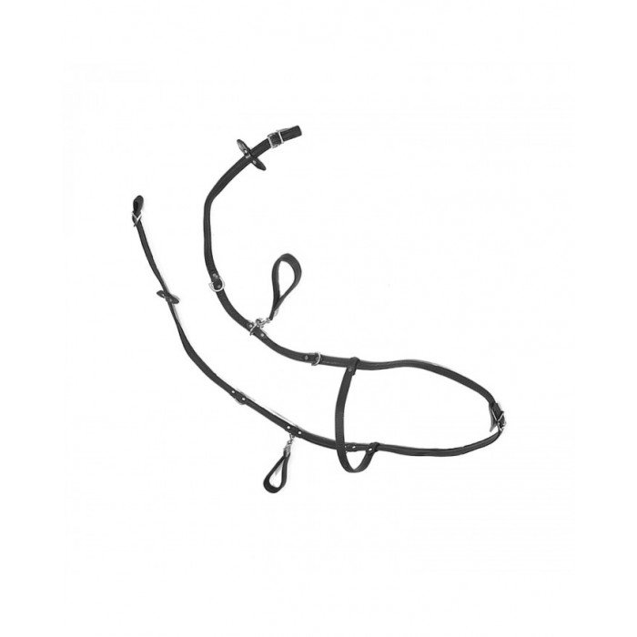 Acessórios e peças de reposição  rédeas de Hipoterapia Pioneer 121,23 €