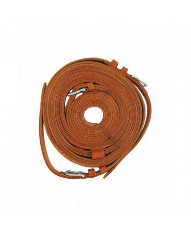 Accessories and Spare Parts  Carriage reins 69,26 €