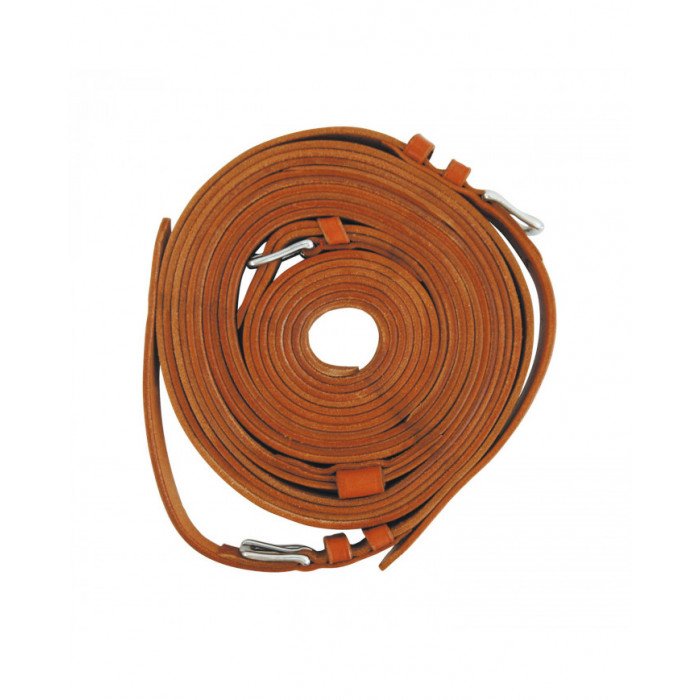 Accessories and Spare Parts  Carriage reins 69,26 €