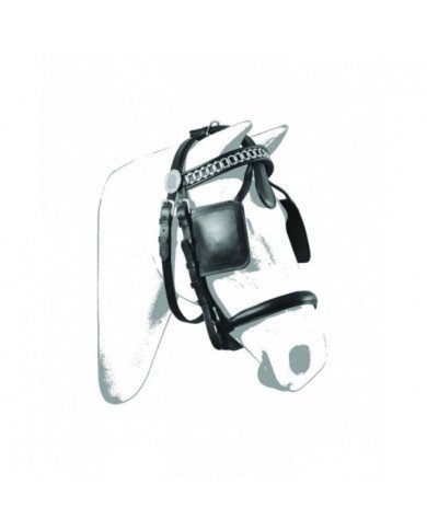 Accessories and Spare Parts  bridle Carriage Model Luxury 72,05 €