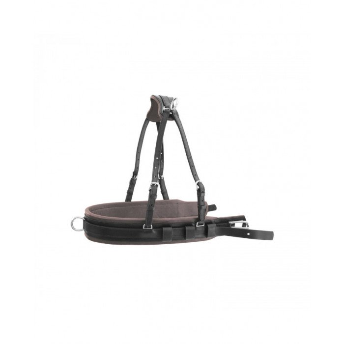 Accesorios y repuestos  pechopetral Carruaje Modelo Lujo 167,95 €