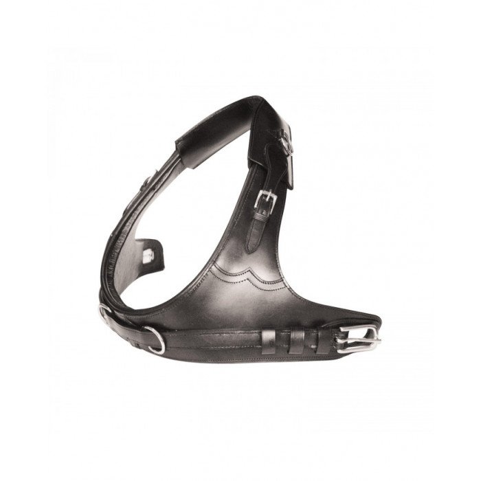 Accessori e Ricambi  Pettorale A Collare Carrozza 134,43 €