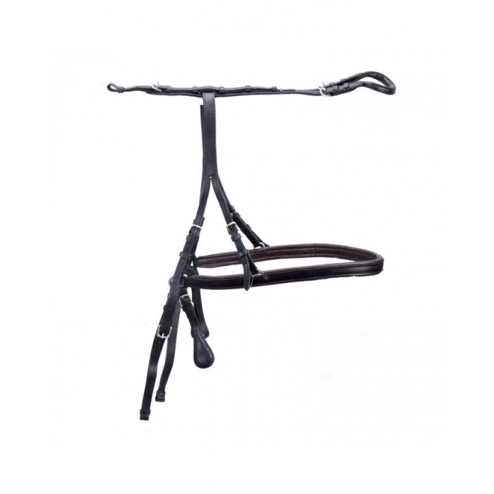 Accessories and Spare Parts  Slings With Codale Finimento Calesse 69,26 €