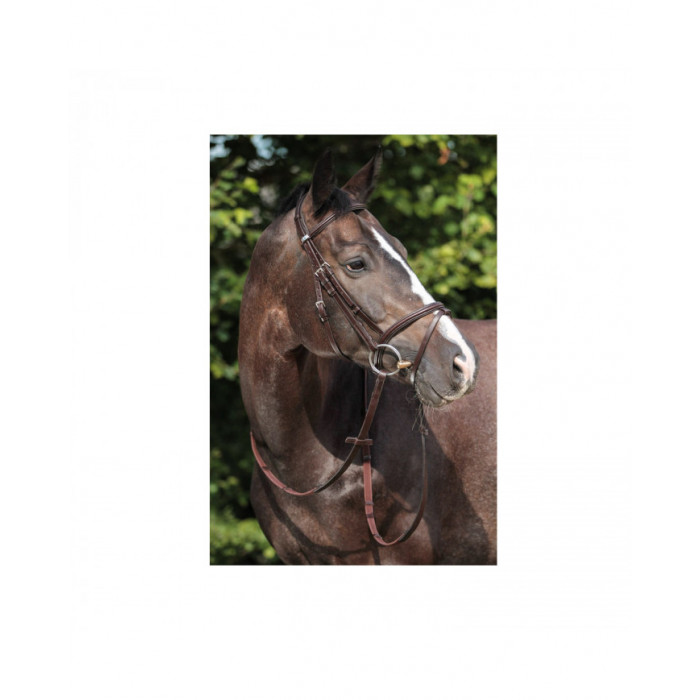 cabezadas  Stubben Leitrim cabezadas Serie 2300 279,43 € cabezadas  Stubben Leitrim cabezadas Serie 2300 279,43 €