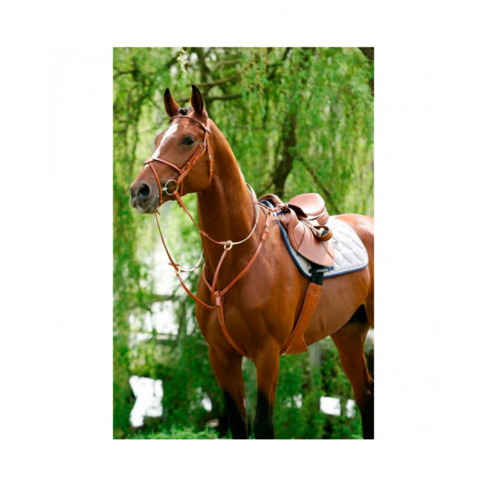 Breastplate  Breastplate with running attachment 206,97 € Breastplate  Breastplate with running attachment 206,97 €