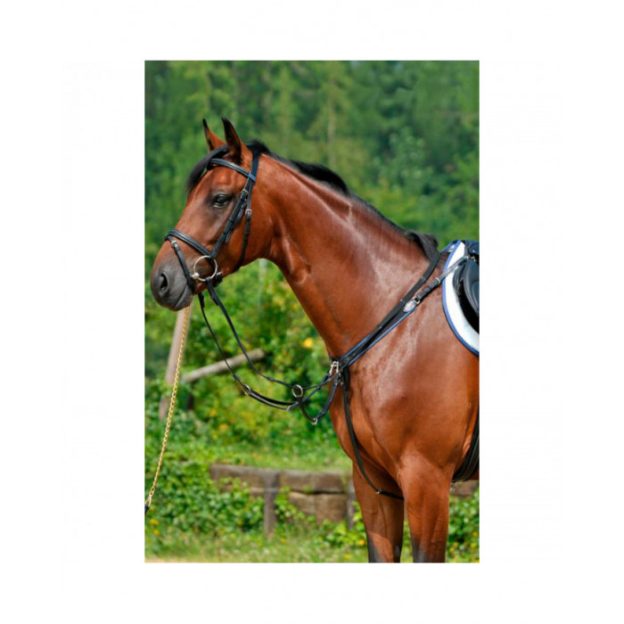 Breastplate  Breastplate with elastic and running attachment 256,15 € Breastplate  Breastplate with elastic and running attachment 256,15 €