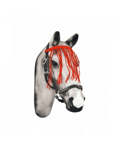 Accessori e Ricambi Monta Inglese  Frontalino C frange Antimosca 7,79 €