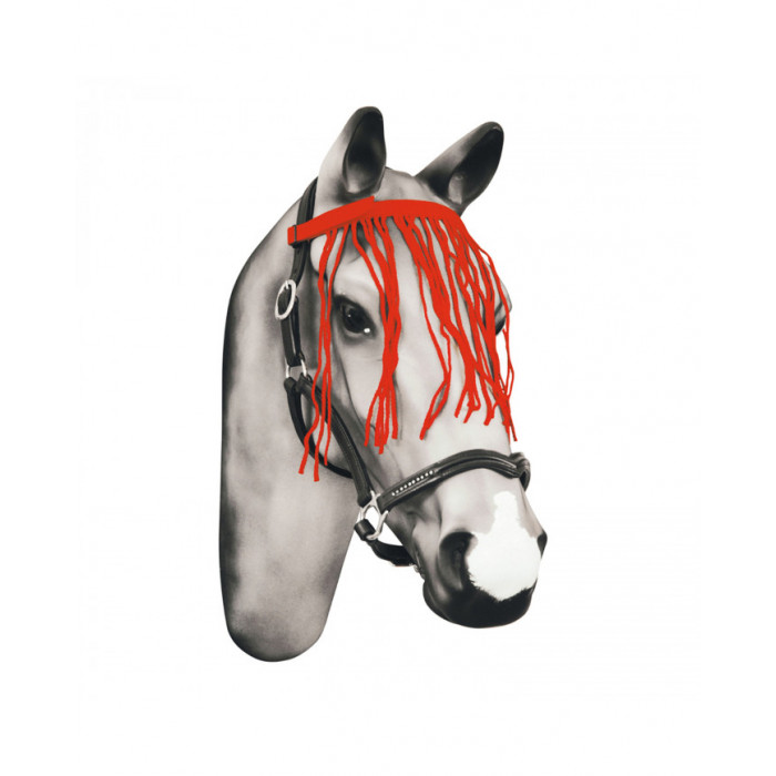Accessories and Spare Parts  Browband C with anti-fly fringes 7,79 € Accessories and Spare Parts  Browband C with anti-fly fringes 7,79 €