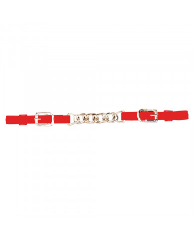 Accessori Endurance Equitime  Equitime Barbozzale in Biothane con Catena 23,77 € Accessori Endurance Equitime  Equitime Barbozzale in Biothane con Catena 23,77 €