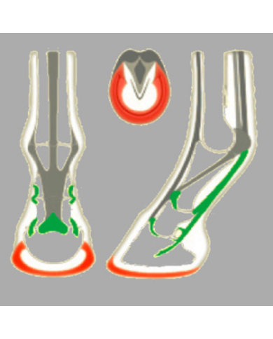 Mascalcia Endurance ACR ROLLING TORSION FERRO ENDURANCE modello 325 56,18&nbsp;€