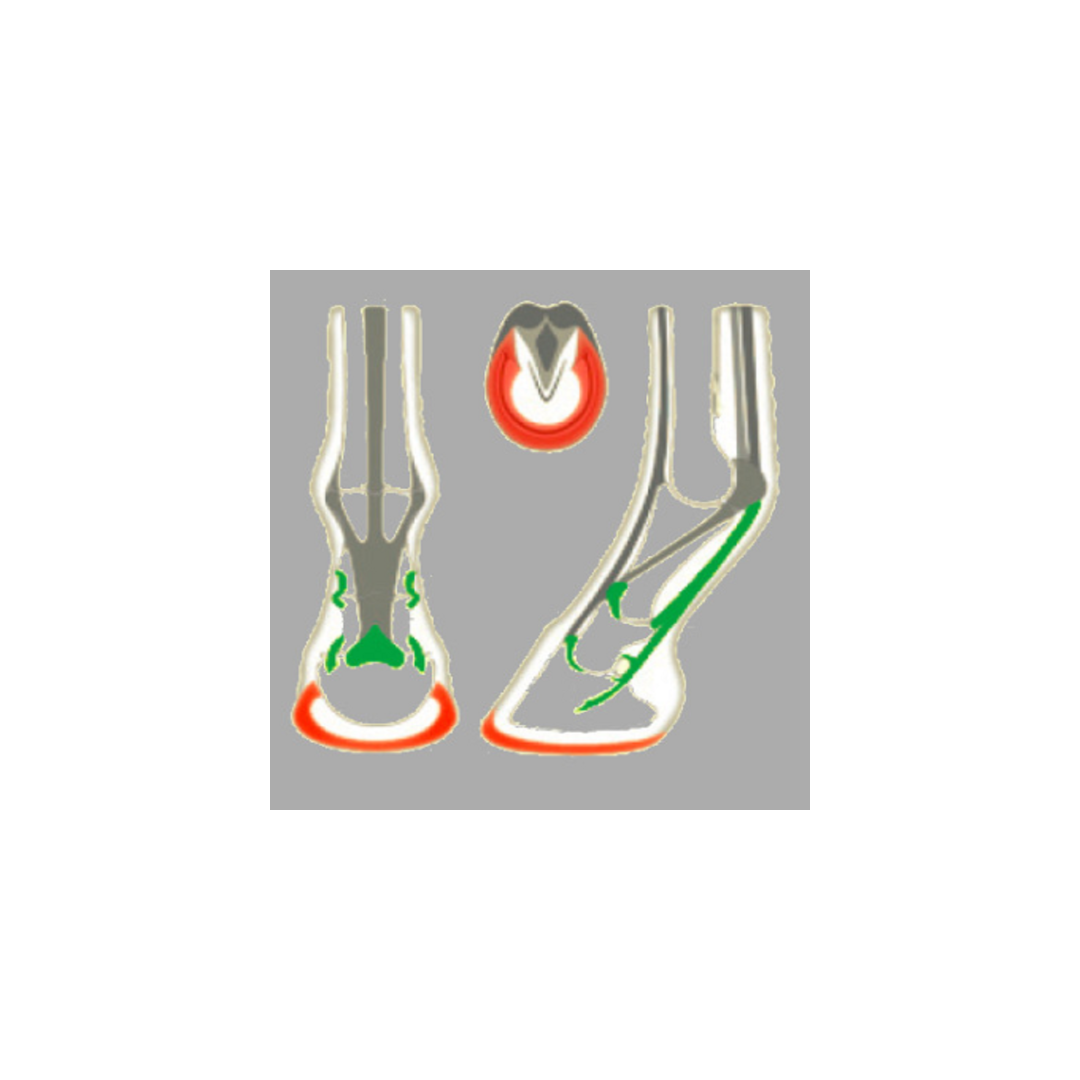 Mascalcia Endurance ACR ROLLING TORSION FERRO ENDURANCE modello 325 56,18&nbsp;€