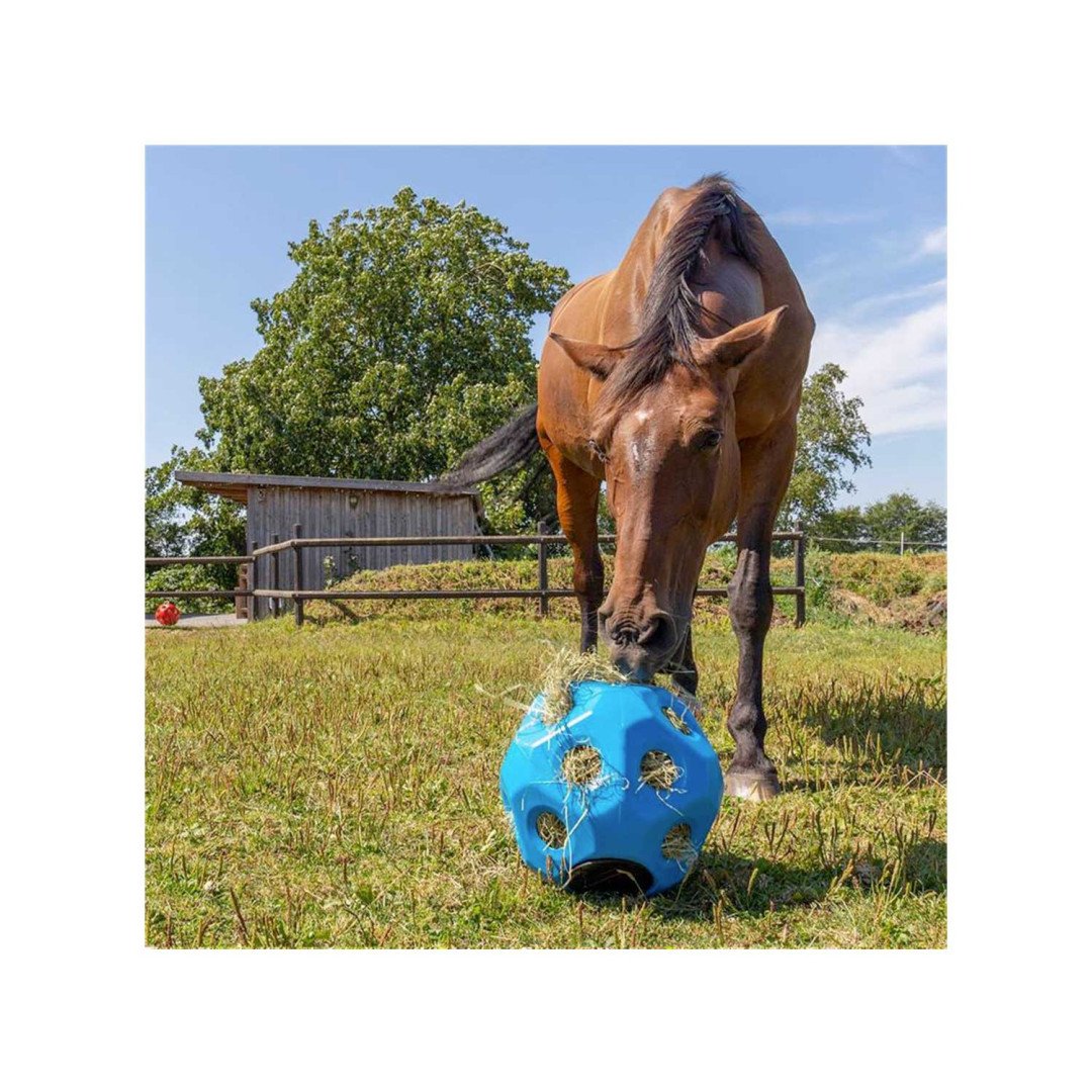 Benessere & Recupero  Feed Ball Toy Blue 76,15 €