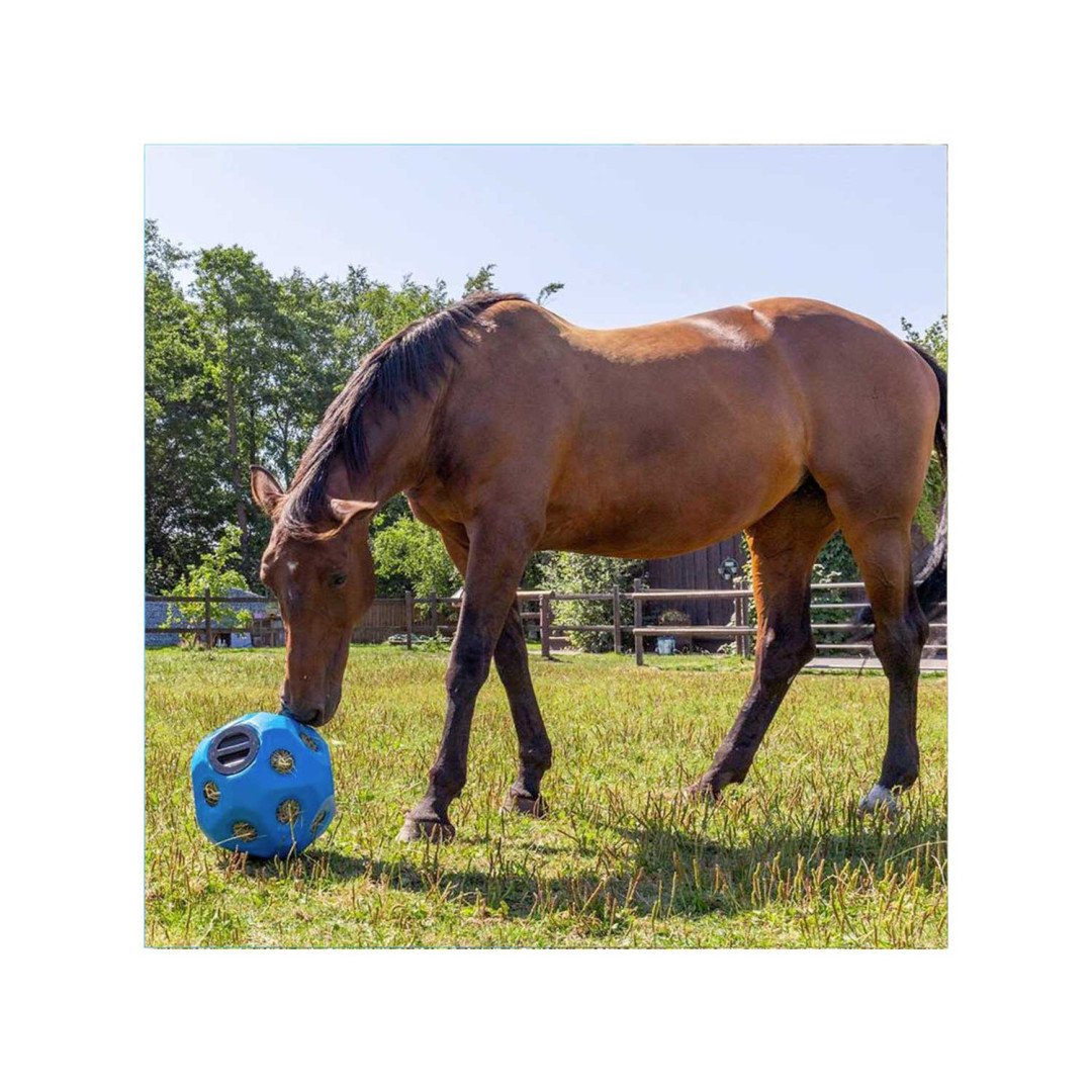 Benessere & Recupero  Feed Ball Toy Blue 76,15 €