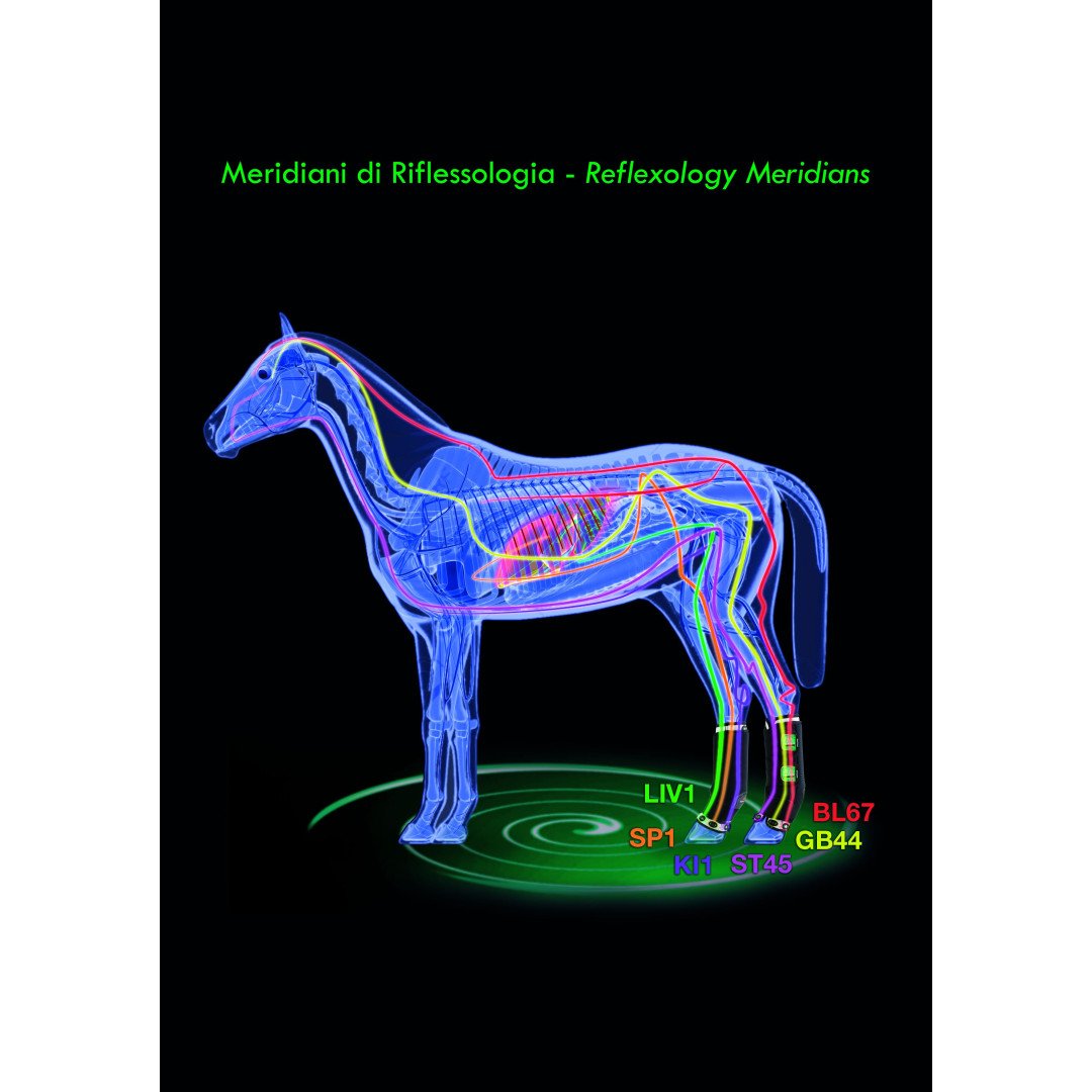 Ligaduras Botas de ar magneto terapêuticas estáveis traseiras 177,46&nbsp;€