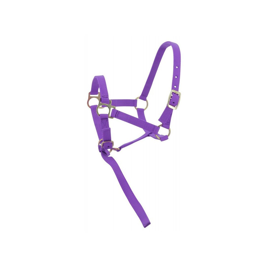 Cavezze Monta Inglese  Cavezza In Nylon Per Puledro 8,20 €