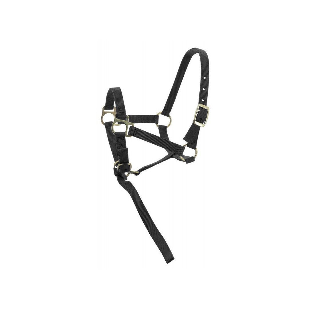 Cavezze Monta Inglese  Cavezza In Nylon Per Puledro 8,20 €