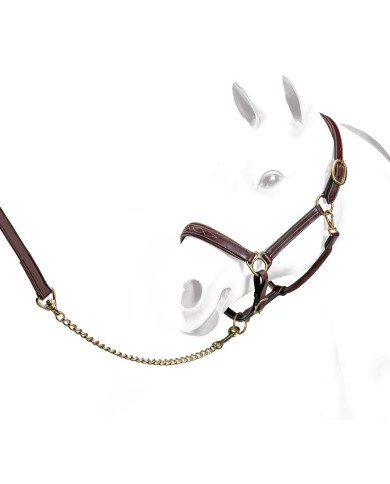 Cavezze e Lunghine  Equipe Capezza Emporio Fancy 89,34 €