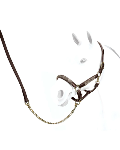 Cavezze  Equipe Capezza Con Treccia 130,33 € Cavezze  Equipe Capezza Con Treccia 130,33 €