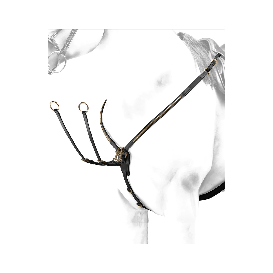 peitoral Peitoral Emporio Equipe Com Clincher 89,34&nbsp;€