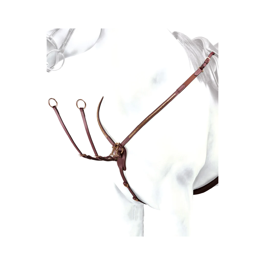 peitoral Peitoral Emporio Equipe Com Clincher 89,34&nbsp;€