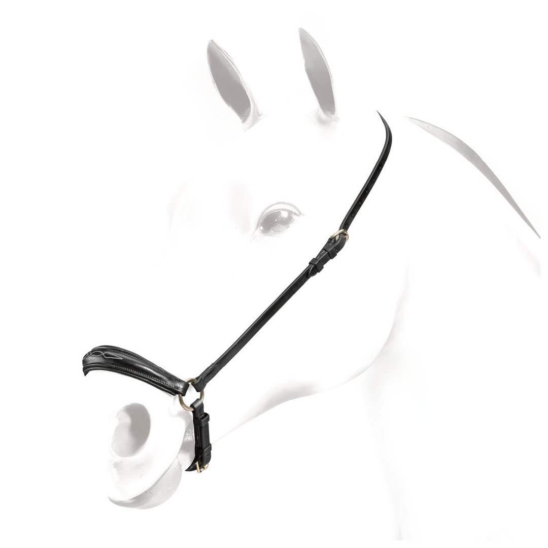 Accesorios y repuestos Equipe Capezzino Alemán en Cuero 72,95&nbsp;€