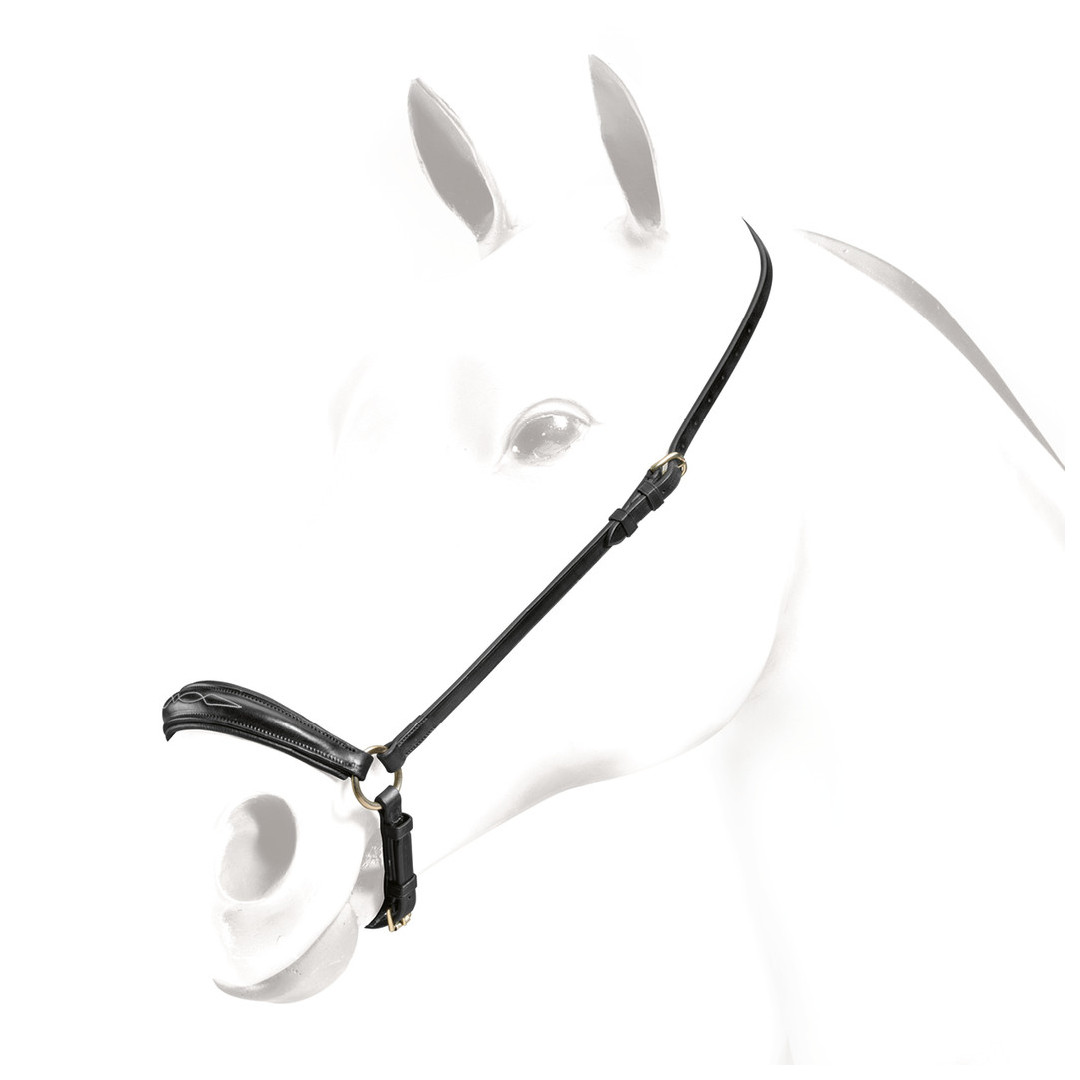 Accessoires et pièces de rechange  Equipe Cape allemand en cuir 72,95 € Accessoires et pièces de rechange  Equipe Cape allemand en cuir 72,95 €