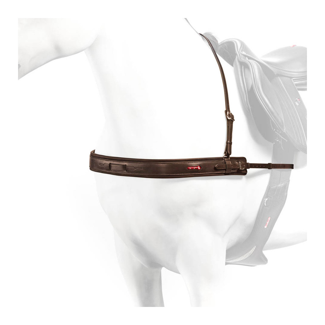 martingale et collier de chasse  Equipe Collier de chasse Droit Rembourré 245,08 € martingale et collier de chasse  Equipe Collier de chasse Droit Rembourré 245,08 €