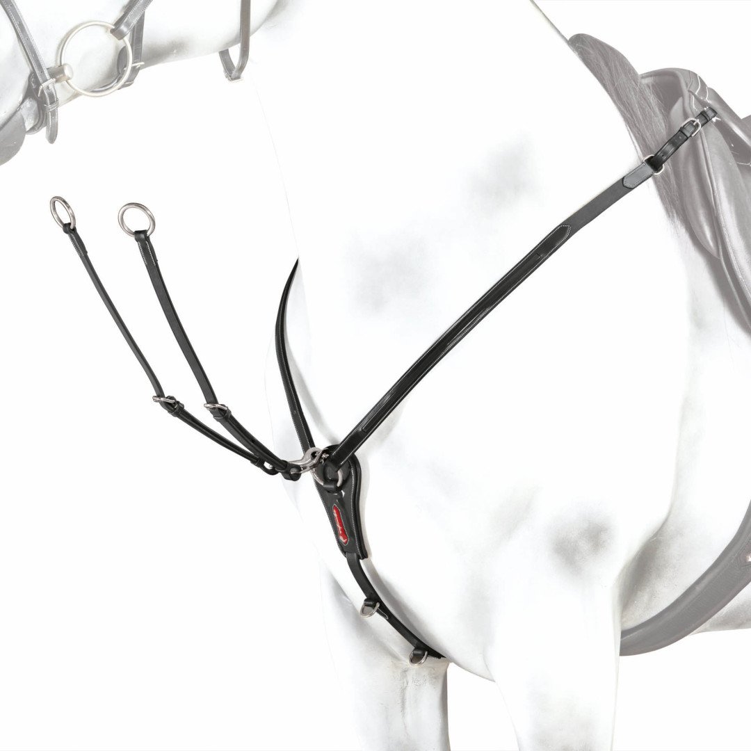 Pettorali Monta Inglese  Equipe Pettorale in Cuoio a “y” Con Inserti in Vernice E Forchetta Staccabile 212,30 €