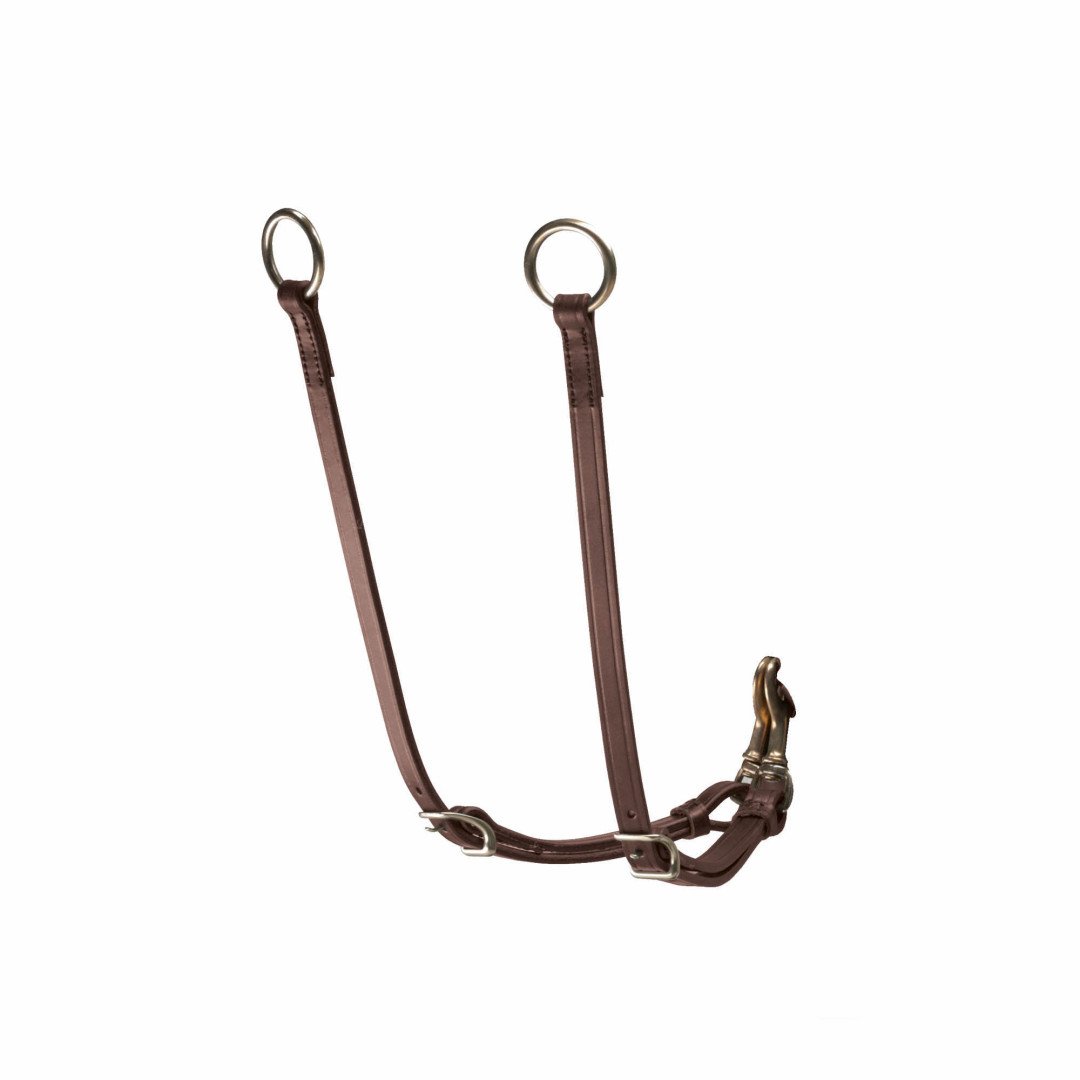 Martingala y Pechopetral Equipe Tijerillas Para Martingala 86,07 €