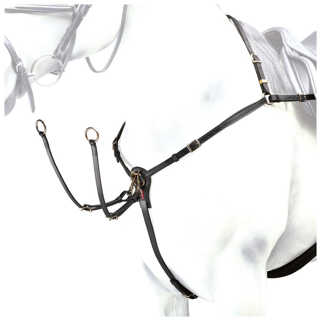 Martingale e Pettorali Equipe Pettorale A Doppia Regolazione 245,08&nbsp;€