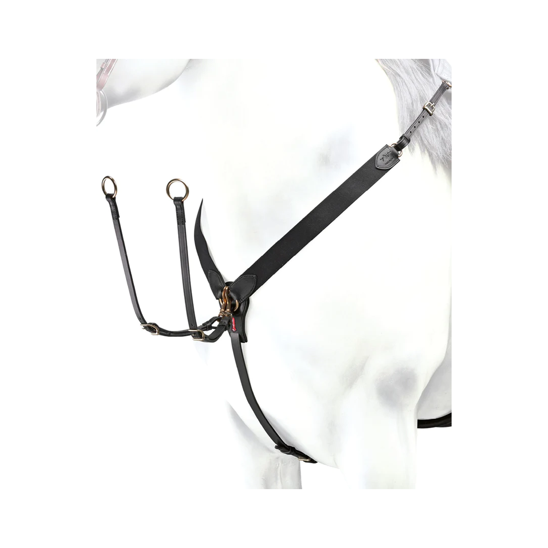 collier de chasse Collier de chasse Élastique Equipe "Y" Avec Fourche de martingale 187,70&nbsp;€