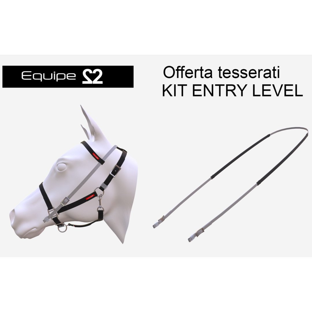 Home EQUIPE 22 TESTIERA E REDINI ENTRY LEVEL 143,44&nbsp;€