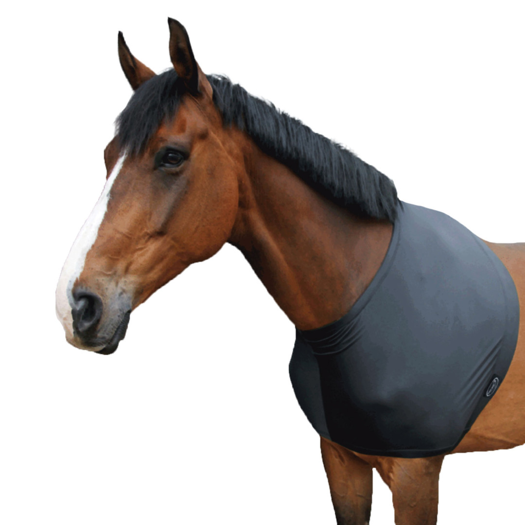 Shrugs and Ladders  NYLON SHOULDER PROTECTOR PULL-ON TYPE 25,82 € Shrugs and Ladders  NYLON SHOULDER PROTECTOR PULL-ON TYPE 25,82 €