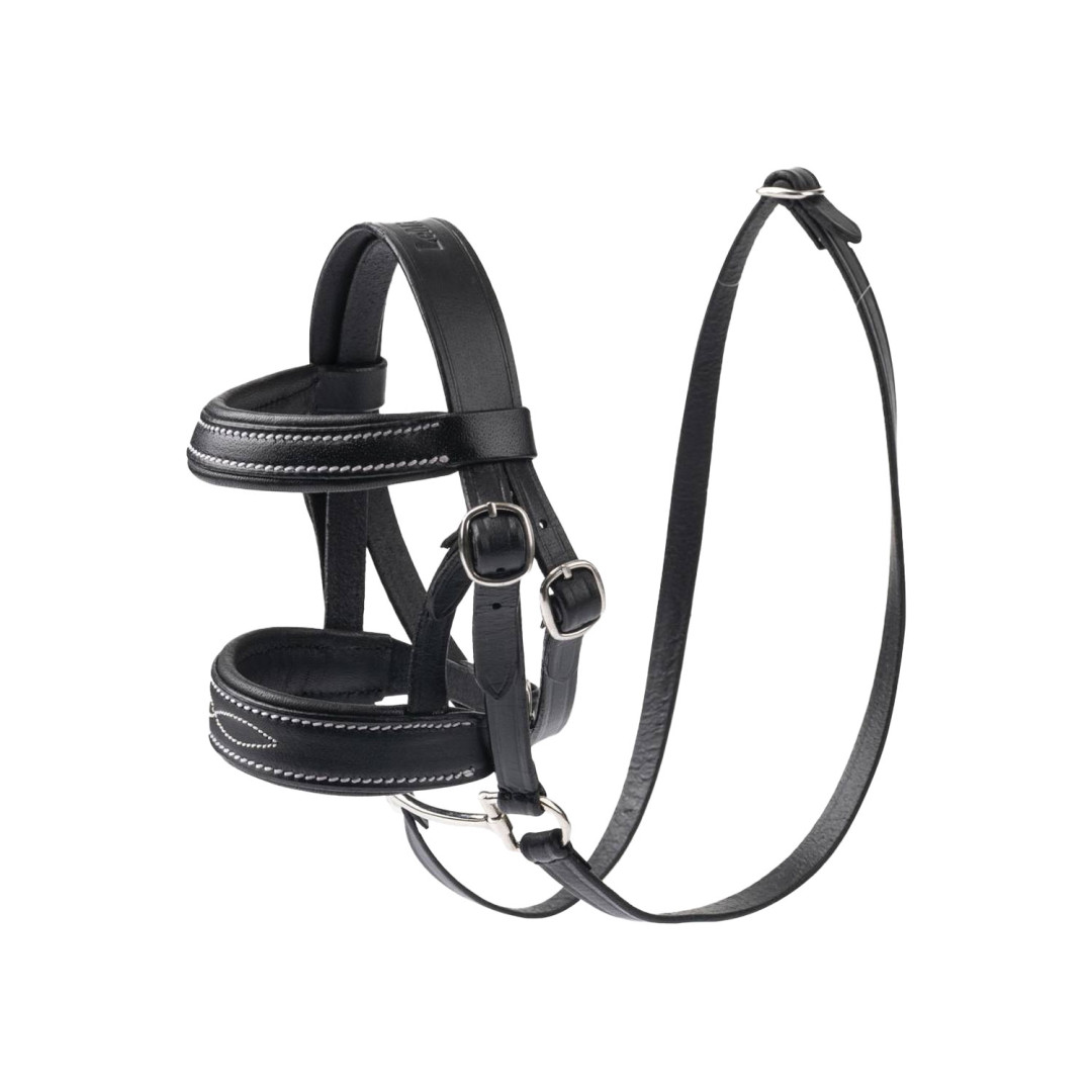Giochi Bambini Equitazione  TOY PONY BRIDLE BLACK 29,43 € Giochi Bambini Equitazione  TOY PONY BRIDLE BLACK 29,43 €