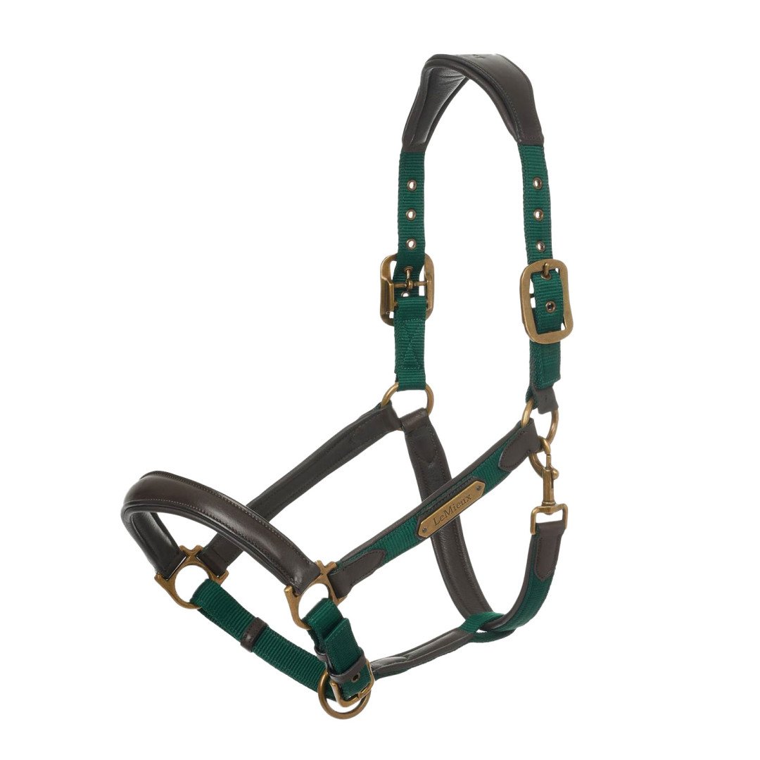halter CAPELLA HEADCOLLAR SPRUCE 76,15&nbsp;€