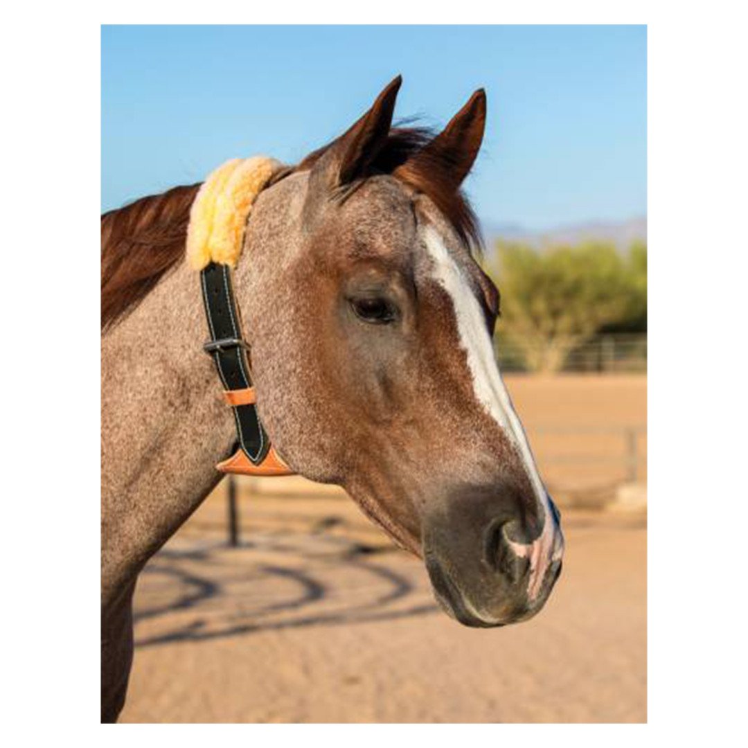 Benessere & Recupero THE DARE CRIBBING CONTROL COLLAR 158,11&nbsp;€