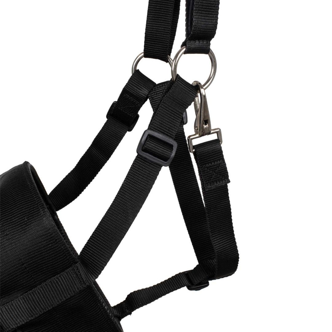 Museruole  MUSERUOLA IN NYLON E GOMMA 23,69 €