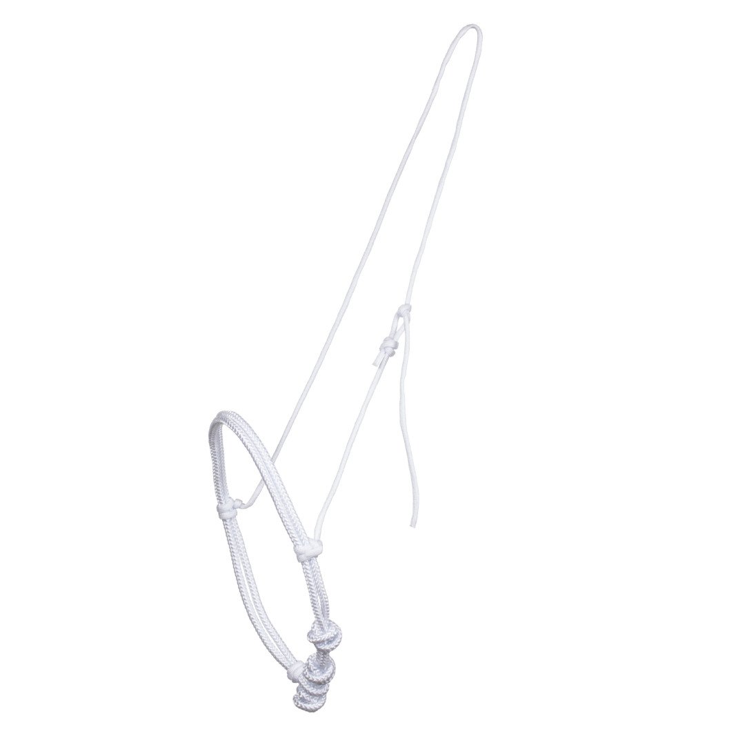 Bouche plus proche CAVESON DE CORDON BLANC 15,16&nbsp;€