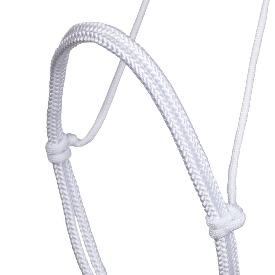 Bouche plus proche CAVESON DE CORDON BLANC 15,16&nbsp;€