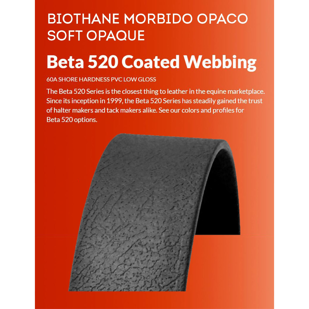 Accesorios Resistencia  EQUITIME ponti per Pelham in biothane con anello 32,79 € Accesorios Resistencia  EQUITIME ponti per Pelham in biothane con anello 32,79 €
